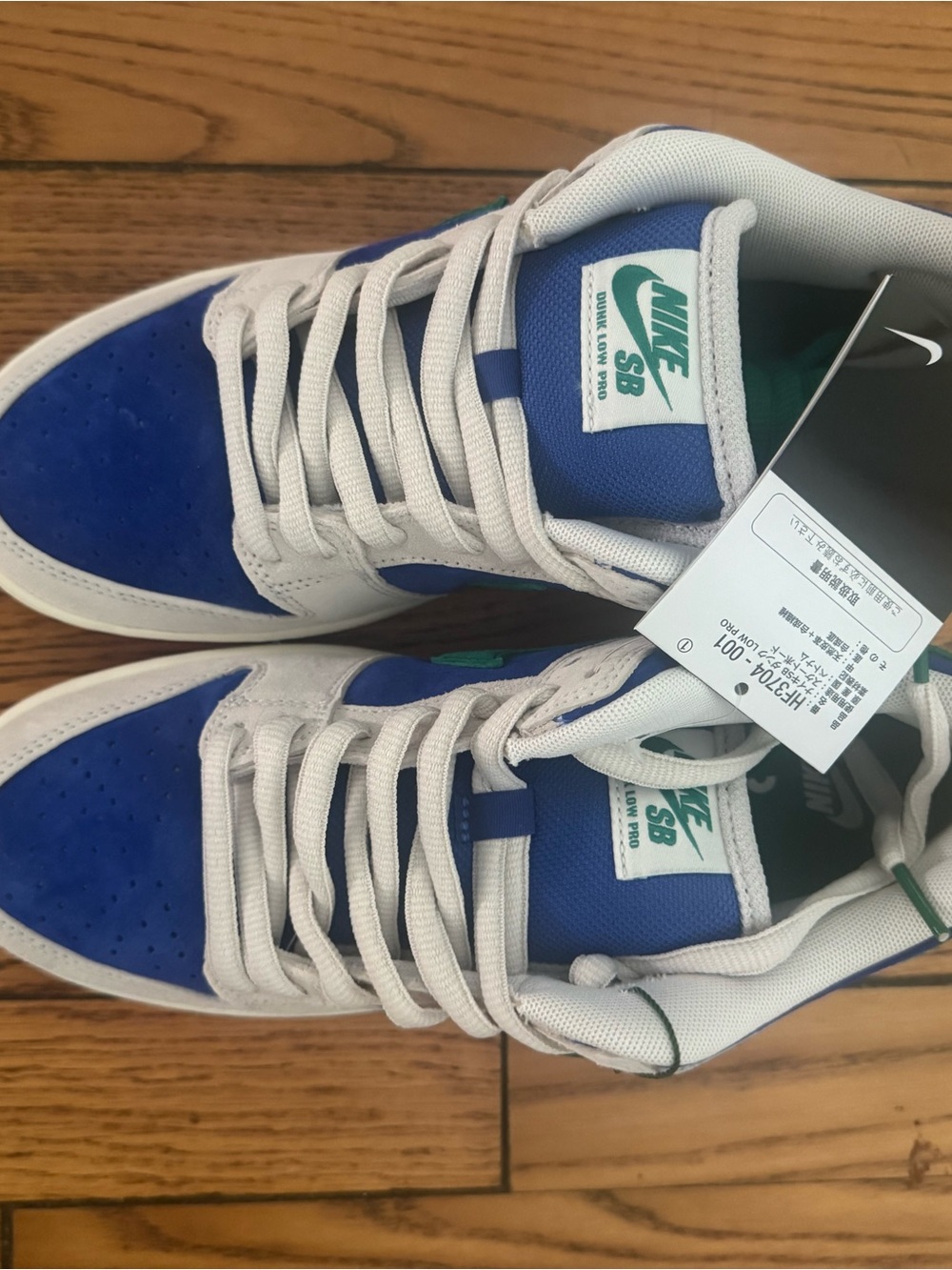 NWT Nike Women’s Blue, Green, and White SB Low Pro 9 (7.5 men)